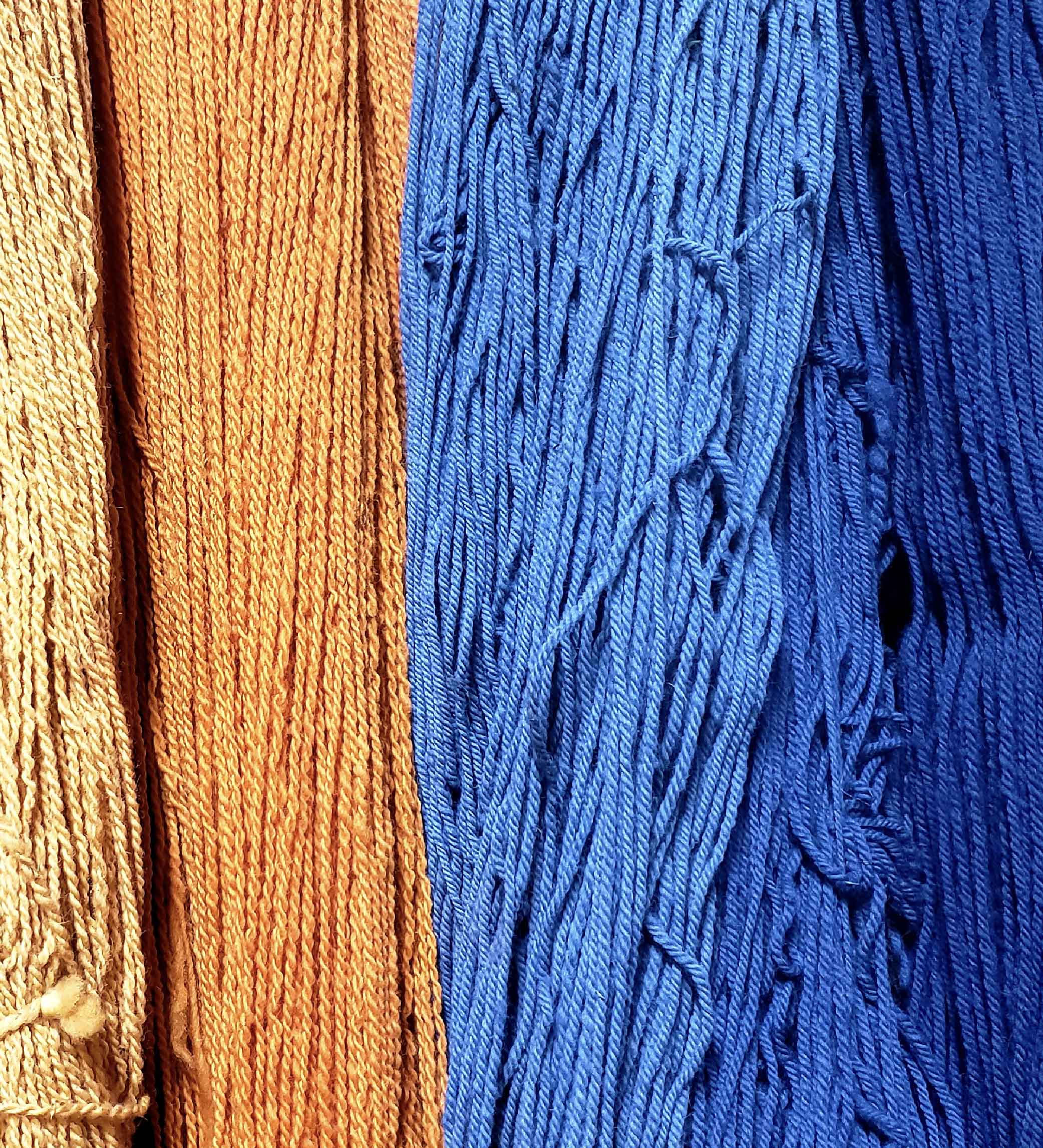 Natural Dyeing_Dye